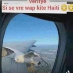 Meet your Posher, Jean renel